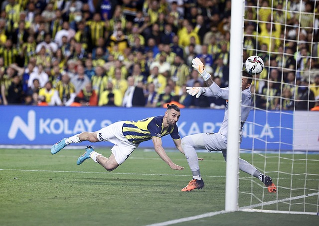 都是生命中 都是生命中