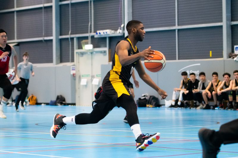 见与布朗尼 见与布朗尼