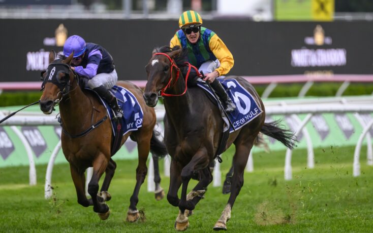 一场不容错 一场不容错